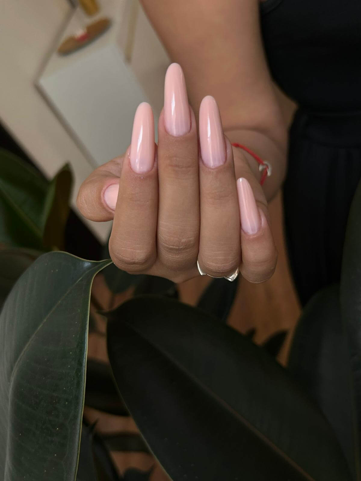 Galerie Vasadi Studio 8 - Salon primitor